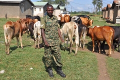 LCpl-Galasi-Simeo-and-his-cows-in-Rubonge-Barracks-in-Tororo-District