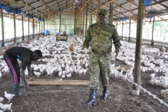 Lt-Abbas-K-Sekajja-in-his-Poultry-Project-funded-by-WSACCO-loans-in-Pepsi-Village-near-Bombo-town