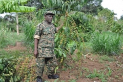 Maj-Henry-Katongole-at-his-2-Acre-Coffee-shamba-developed-using-Agriculture-loans-from-WSACCO