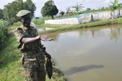 WO1-Aliga-Tom-at-his-Fish-Ponds-in-Rubonge-Barracks-Tororo-District